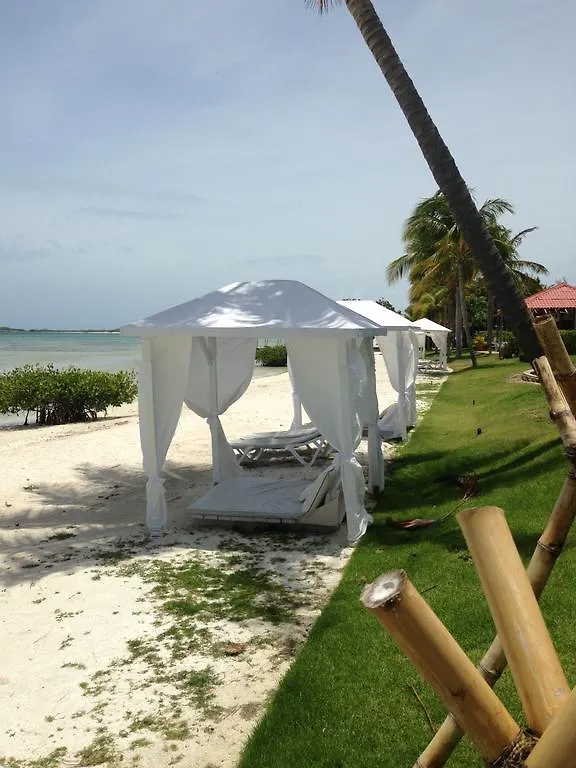 Grand Bahia Ocean View Hotel 카보조로 0*,