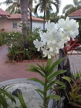 Apartment Grand Bahia Ocean View Hotel Cabo Rojo Puerto Rico